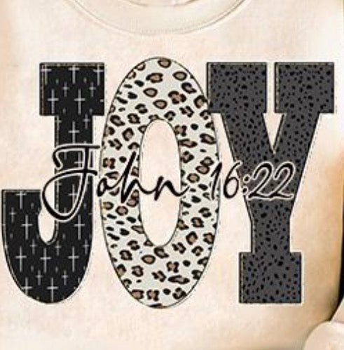 JOY John 16:22